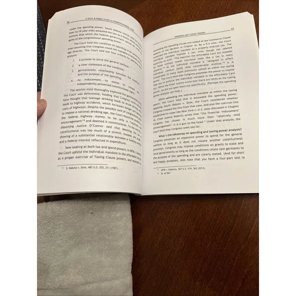 A Short‎ & Happy Guide to Constitutional Law (Short & Happy Guides) - 2nd Ed.